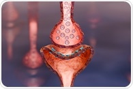 New insights into how myasthenia gravis antibodies disrupt muscle function